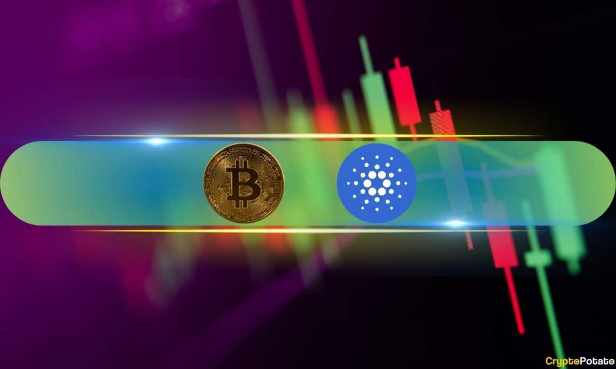Cardano(ADA)价格上涨14%,比特币(BTC)在创新高后仍维持在9.3万美元以上(市场动态分析)