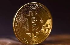 kdpay钱包中的K豆有什么作用?详细介绍kdpay钱包中K豆的用途